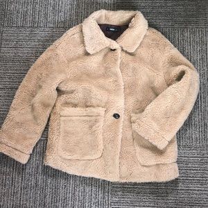 New teddy coat